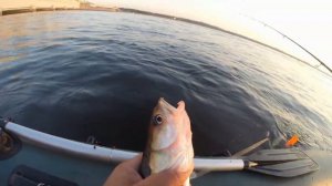 Рыбалка на Финском заливе