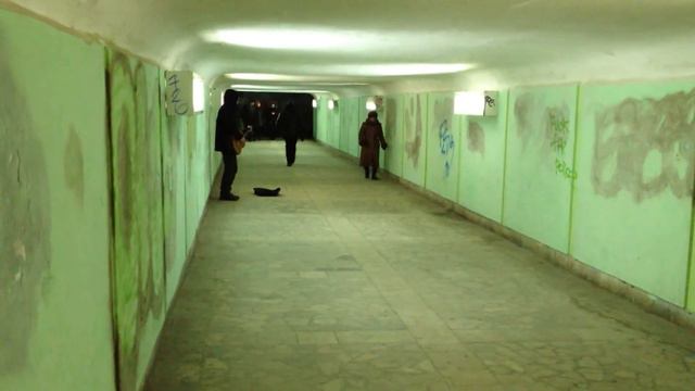 IMG 01251 смотреть онлайн