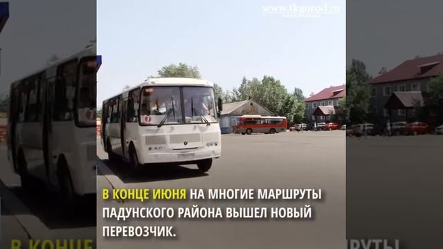 В Падунском районе пассажиры недовольны расписанием общественного транспорта. Братск. Июль, 2019 смотреть онлайн