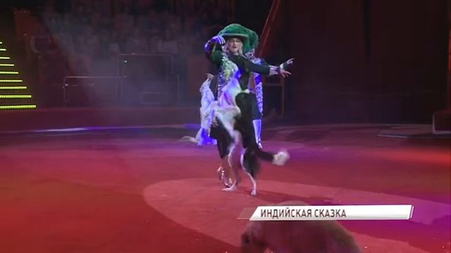 На арене ярославского цирка можно увидеть уникальные трюки в исполнении квартета сл смотреть онлайн