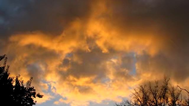 Сергій Левченко (Перерваний сон) смотреть онлайн