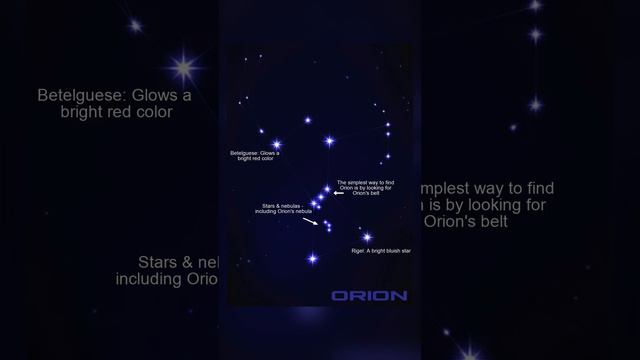 ORION THE GREAT HUNTER! смотреть онлайн