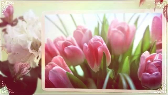 С_праздником_8_Марта!_Видеопоздравление.mp4 смотреть онлайн