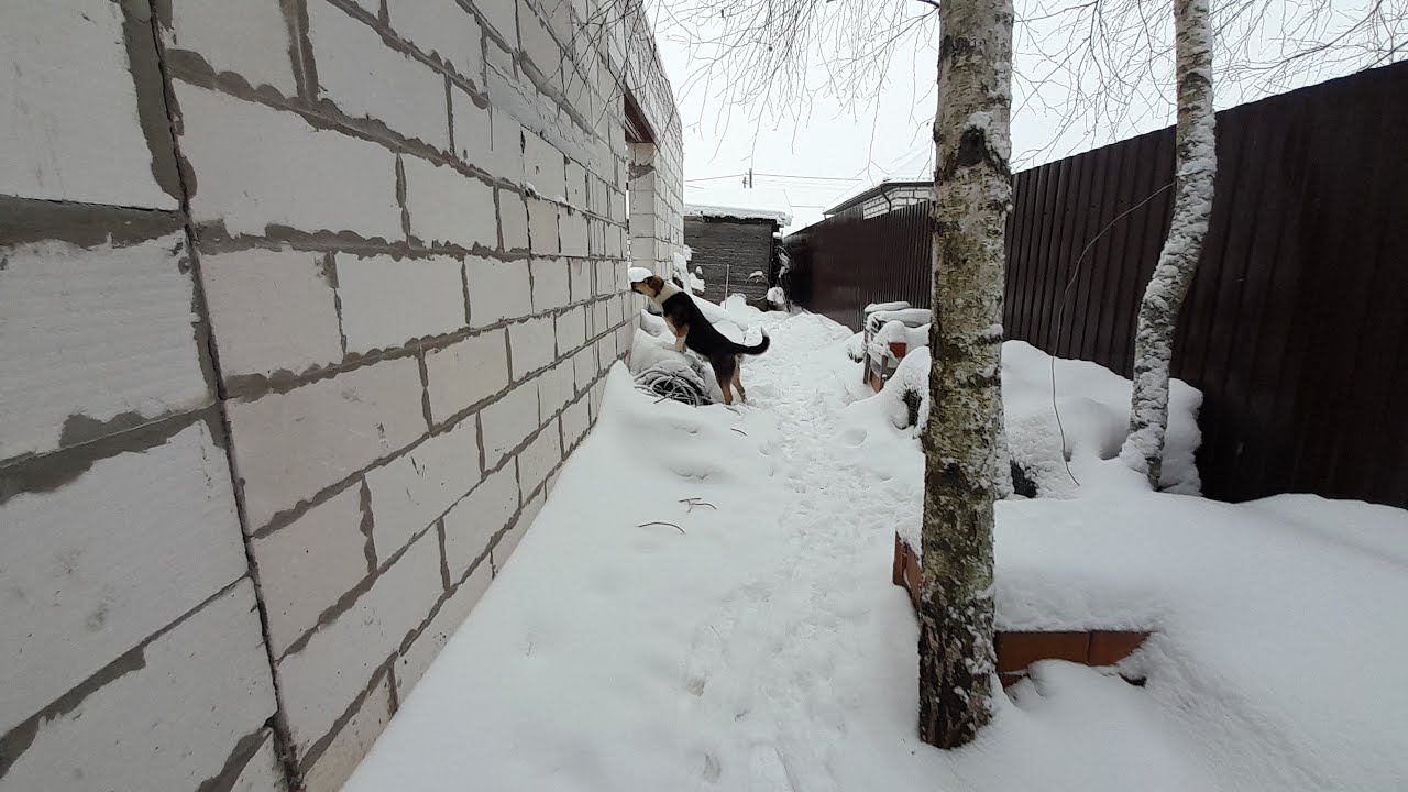 Гуляем на Новый Год