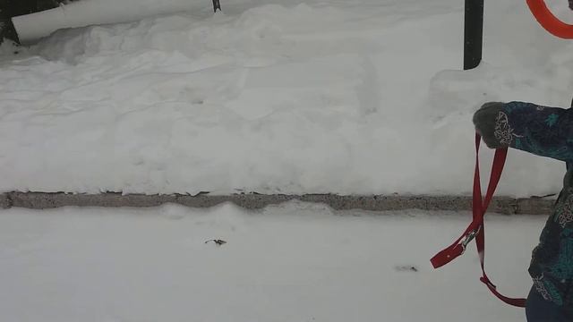 Испанский шаг :) смотреть онлайн
