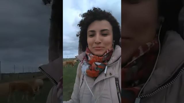 Когда бабуля в теме / "Зачем училась? Нет работы" / Ильмира смотреть онлайн