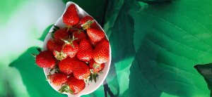 "Леди Полночь"❤️❤️❤️❤️❤️🎼🎶