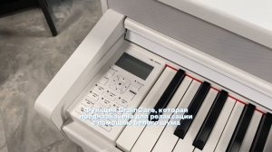 Цифровое пианино Becker BAP-62W | vismedia.ru