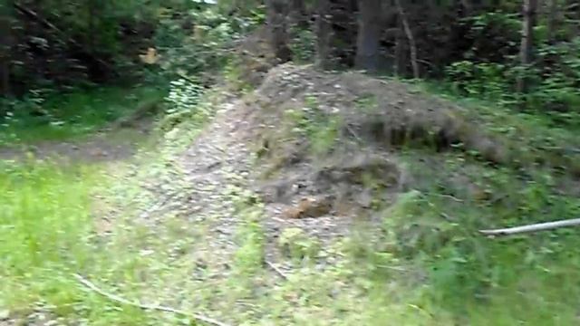 Лесной Песчаный Карьер Коряги Норы Природа