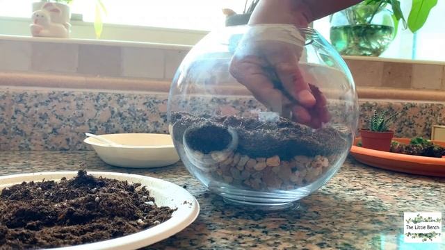 How to make a Terrarium | Succulent garden in a glass bowl смотреть онлайн