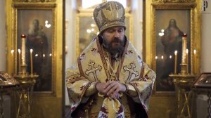 митрополит Иларион - о т.н."паралельной" Вселеной и про ИНОпланетян с гуманоидами