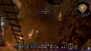 Как украсть идол Сильвануса ▶ Baldur's Gate 3 ▶ Похитить священного идола