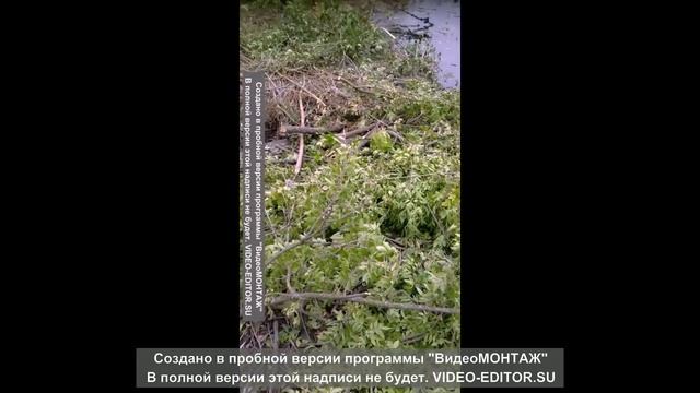 крынки. национальности украинской рыбалки или как мужики зила утопили. смотреть онлайн