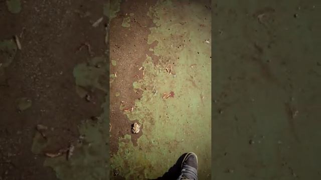Изучаем инстинкты лягушек смотреть онлайн