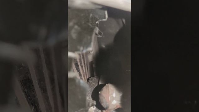 Установка вилки без снятия кпп на лада гранта (кпп рено) смотреть онлайн