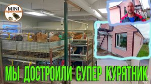 Как работает SUPER курятник. Год стабильной работы. Все довольны. Часть 7.