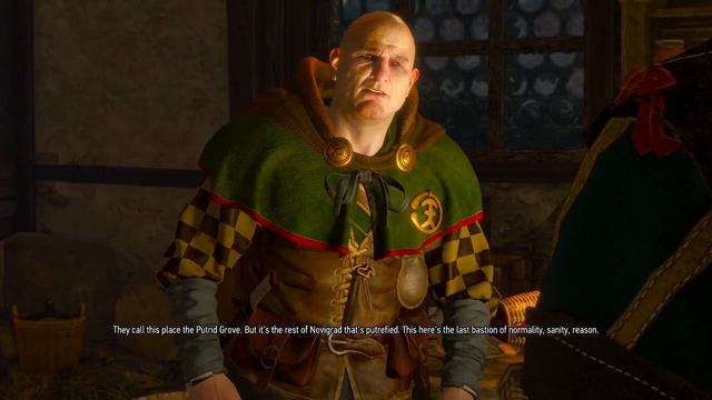 So THAT'S What Triss Looks like!?- Witcher III: Wild Hunt PT. 38 смотреть онлайн