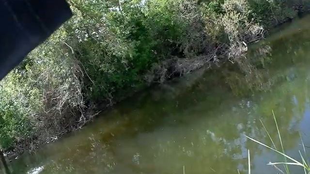 за белым хищником смотреть онлайн