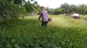 сравнение триммера stihl fs 491 c-em и stihl fs 450