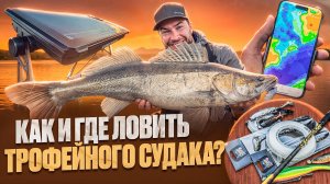 Крупный силикон творит чудеса | ТРОФЕЙНЫЙ СУДАК не пройдет мимо | Эксперт Олег