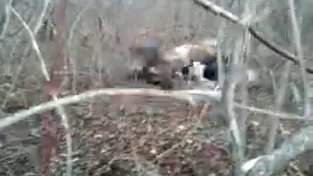 Ohota na cabana s laicami,2011,Moldova. смотреть онлайн