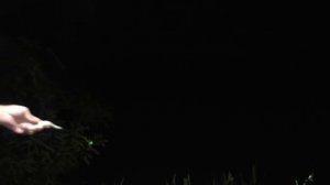 Снасти для ловли сома с берега . Рыбалка на сома . My fishing