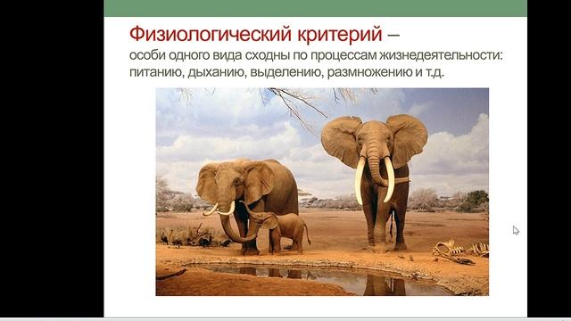 ГОТОВИМСЯ К ЕГЭ ПО БИОЛОГИИ-2020. ВИД, КРИТЕРИИ ВИДА смотреть онлайн