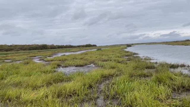 Прототип Вездехода Лесник Экстрим. Amphibian Lesnik