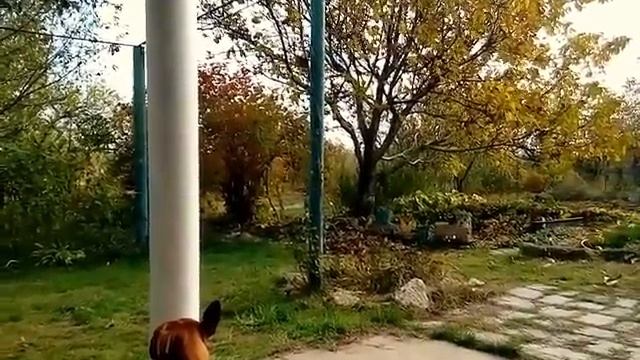 Гадать или не гадать?? 31.10.2016 смотреть онлайн