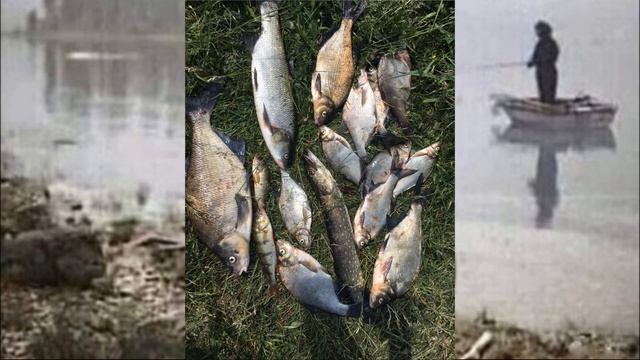 Самый счастливый день в моей жизни, рыбалка смотреть онлайн