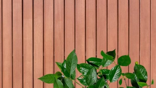 CAT Games | The Great Grasshopper Game | Cat TV 4K | Bug Videos For Cats to Watch | ? ?