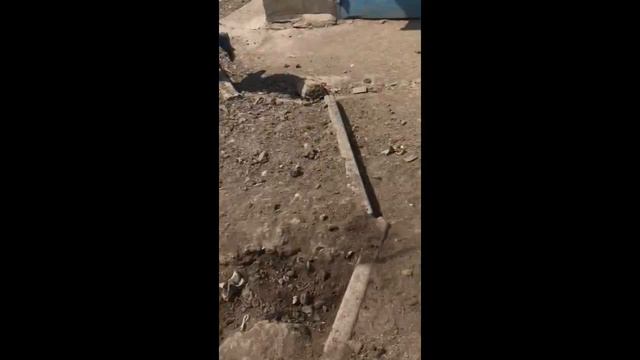 Пасха в деревне \\ свини \\Одесса смотреть онлайн