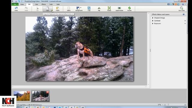 PhotoPad Photo Editing Software | Overview