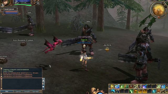 Глюк мобов и пета в игре ласт хаос смотреть онлайн