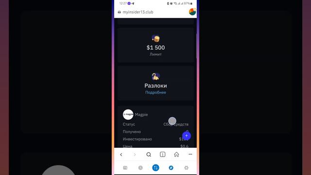 Покупка проекта Magpie на лаунчпаде Insider Club ⭐️ со смартфона📱 смотреть онлайн
