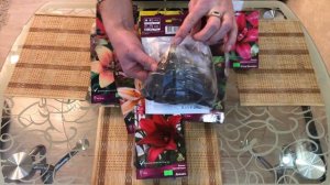 Азиатские лилии.Сорта лилий с названиями. Виды лилий. Обзор лилий. Шикарные лилии для моего сада!