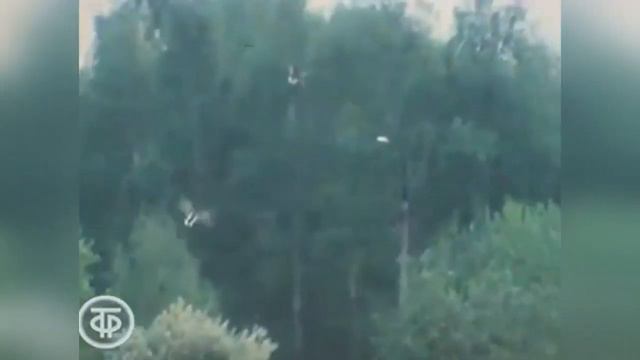 «Музыка веры, добра и надежды». смотреть онлайн