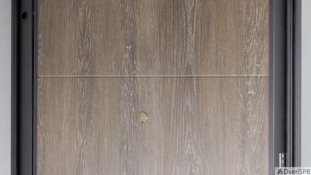 Обзор входной двери Шелион К2