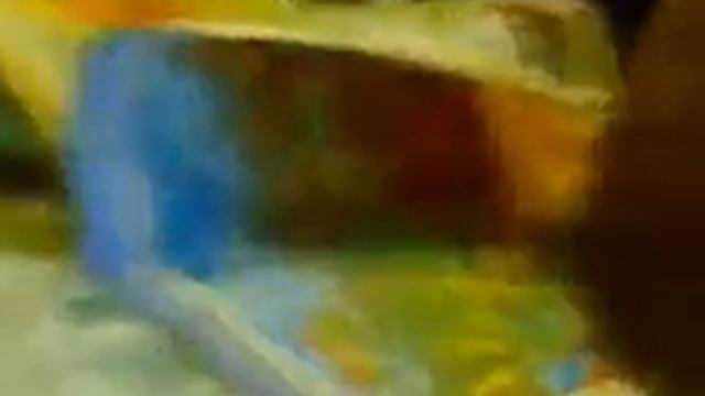 Где находится Амазонка? смотреть онлайн