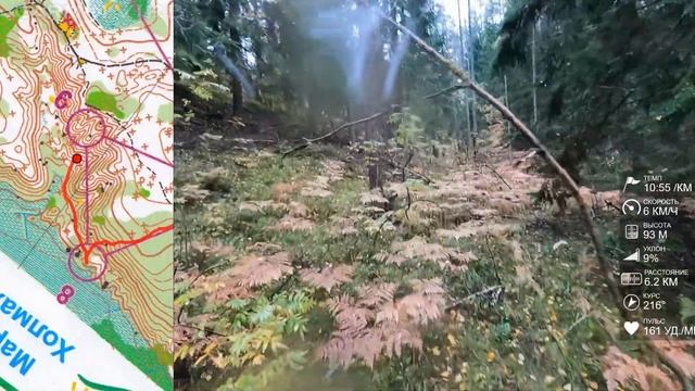 Спортивное ориентирование (headcam orienteering) - Марафон на холмах Яппиля 2022, Зеркальное - 25.0 смотреть онлайн