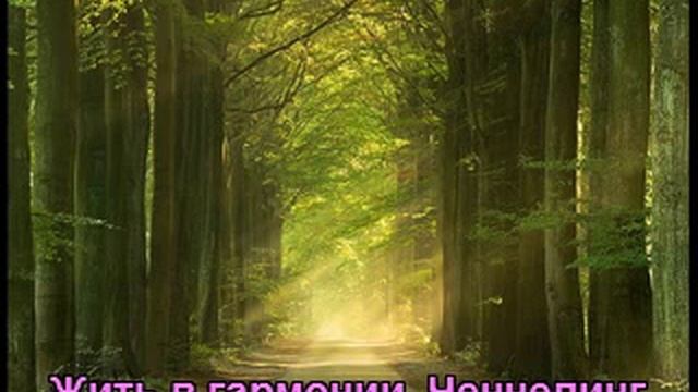 Ченнелинг. Жить в гармонии 4 смотреть онлайн