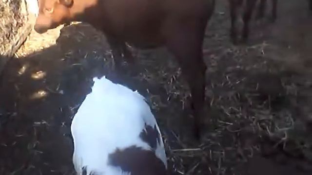 Эксклюзив смотреть онлайн