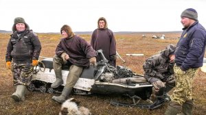Снегоход на Крайнем Севере. Друг и помощник Оленеводов | Факты