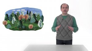 42. Сообщество леса. Часть 1