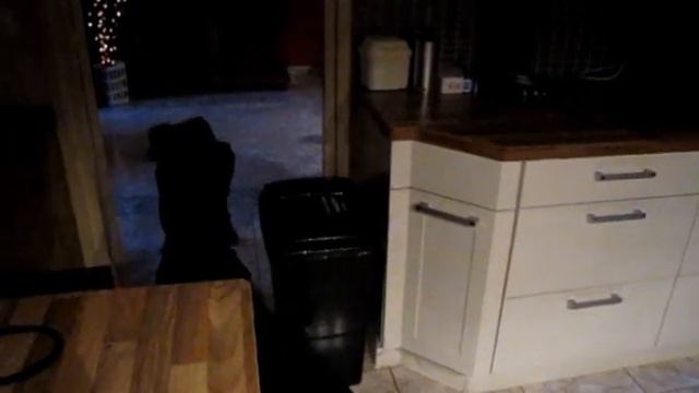 Speedy-Buddy the Dobermann смотреть онлайн
