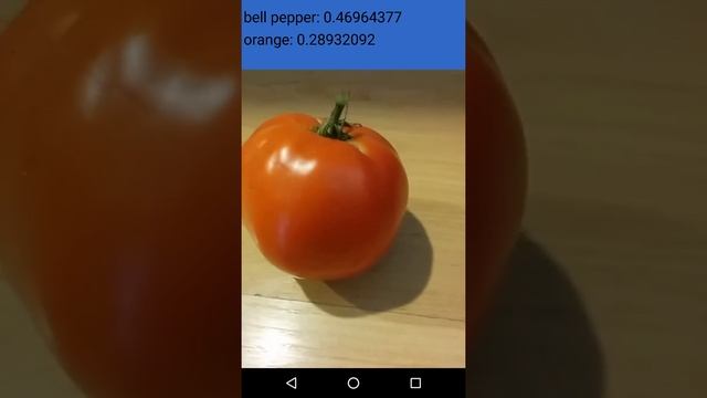 Android TensorFlow Sample App Demo смотреть онлайн