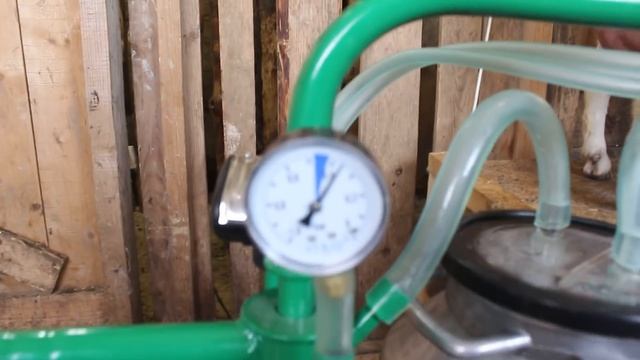 Дойка коз доильным аппаратом. Переселение в Поселение.