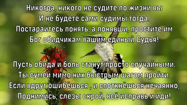 Я хочу чтобы путь твой усыпан был Розами Елена Ваймер смотреть онлайн