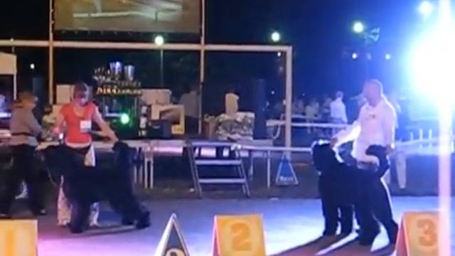 Бармалей и Аристократ смотреть онлайн