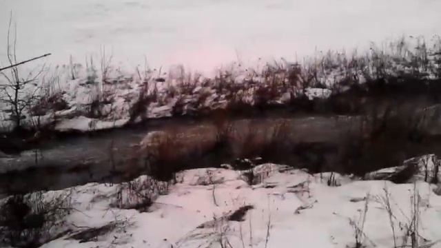 Рыболовное Вдохновение